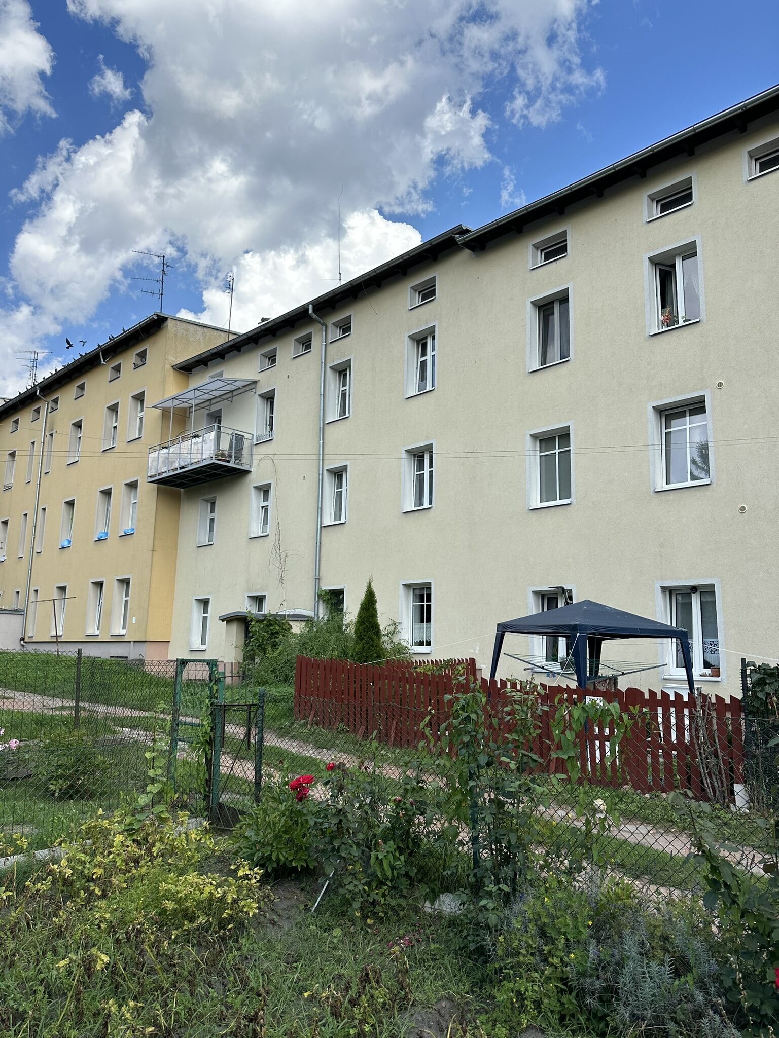 Budynek od strony podwórza – ogródki i teren zielony